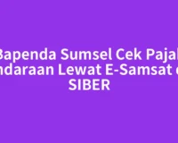 Bapenda Sumsel Cek Pajak Kendaraan Lewat E-Samsat dan SIBER