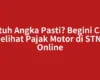 Butuh Angka Pasti? Begini Cara Melihat Pajak Motor di STNK Online