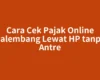 Cara Cek Pajak Online Palembang Lewat HP tanpa Antre